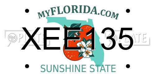 XEE135 Florida License Plate