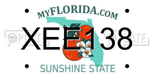 XEE138 Florida License Plate