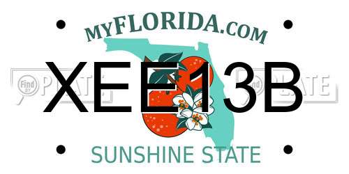 XEE13B Florida License Plate