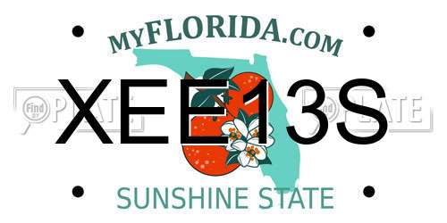 XEE13S Florida License Plate