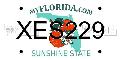 XES229 Florida License Plate