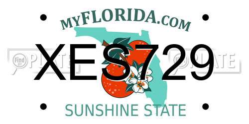 XES729 Florida License Plate