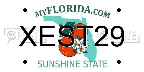 XEST29 Florida License Plate