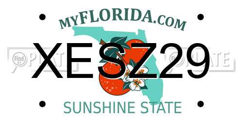 XESZ29 Florida License Plate