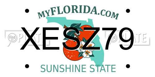 XESZ79 Florida License Plate