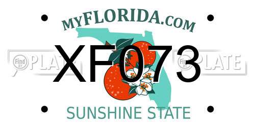 XF073 Florida License Plate