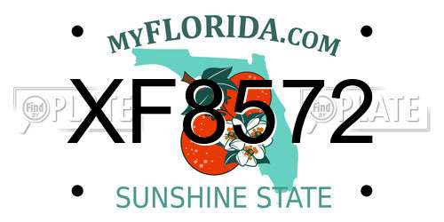 XF8572 Florida License Plate