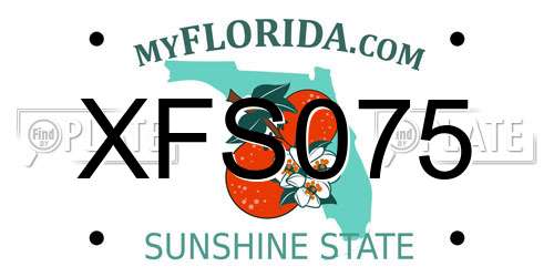 XFS075 Florida License Plate