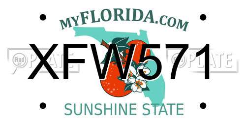 XFW571 Florida License Plate