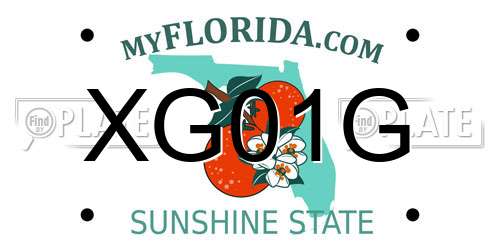 XG01G Florida License Plate