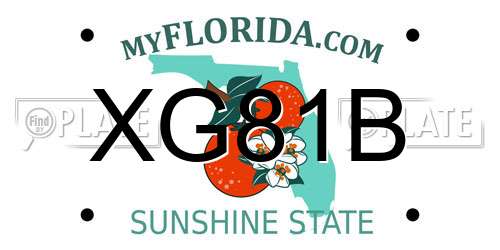 XG81B Florida License Plate