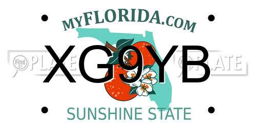 XG9YB Florida License Plate
