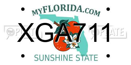 XGA711 Florida License Plate