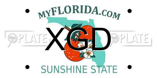 XGD Florida License Plate