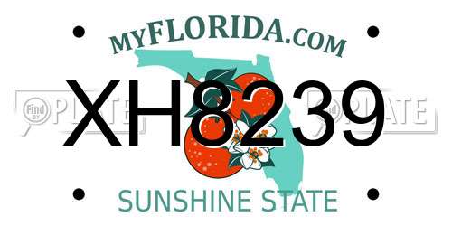 XH8239 Florida License Plate