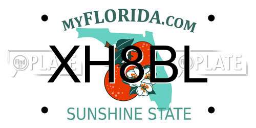 XH8BL Florida License Plate