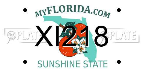 XI218 Florida License Plate