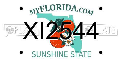 XI2544 Florida License Plate