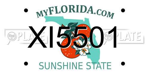 XI5501 Florida License Plate