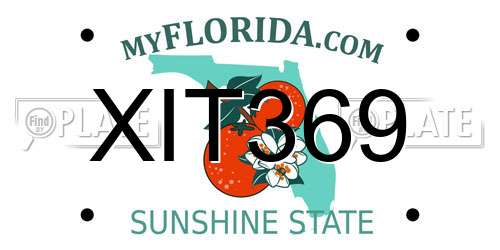 XIT369 Florida License Plate
