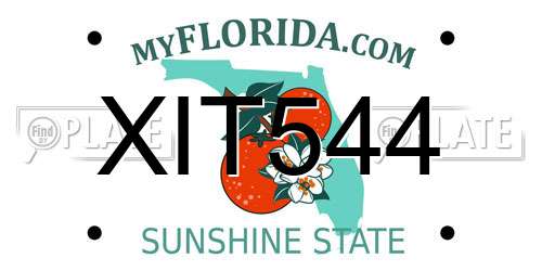 XIT544 Florida License Plate