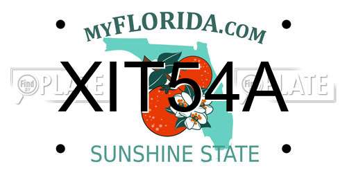 XIT54A Florida License Plate