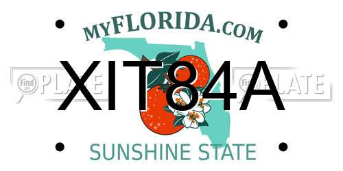 XIT84A Florida License Plate