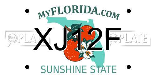 XJ12F Florida License Plate