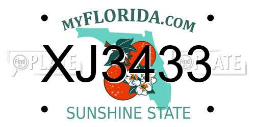 XJ3433 Florida License Plate