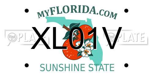XL01V Florida License Plate