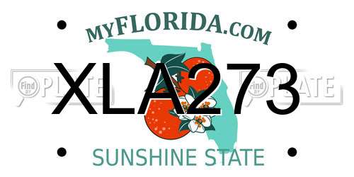 XLA273 Florida License Plate