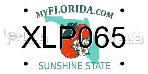 XLP065 Florida License Plate