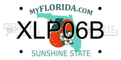 XLP06B Florida License Plate