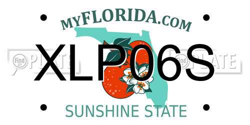 XLP06S Florida License Plate