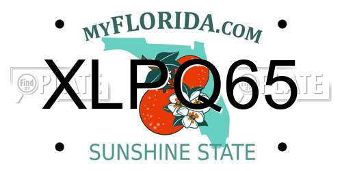 XLPQ65 Florida License Plate