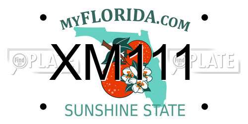 XM111 Florida License Plate