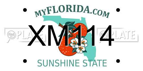 XM114 Florida License Plate