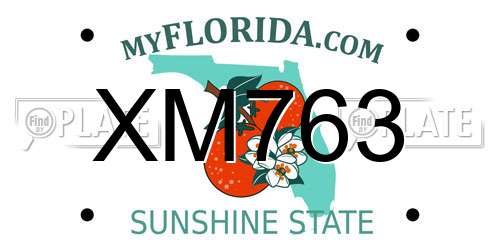 XM763 Florida License Plate