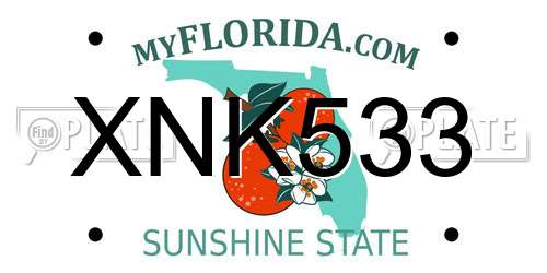 XNK533 Florida License Plate