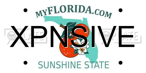 XPNSIVE Florida License Plate