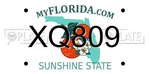 XQ809 Florida License Plate