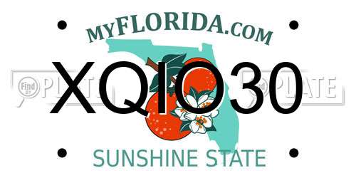 XQIO30 Florida License Plate