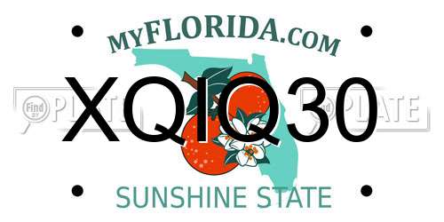 XQIQ30 Florida License Plate