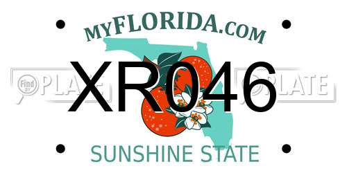 XR046 Florida License Plate