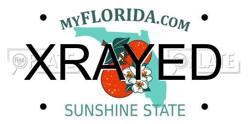 XRAYED Florida License Plate