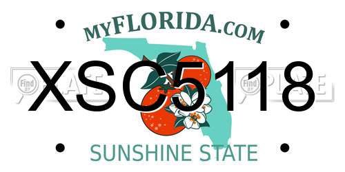 XSC5118 Florida License Plate