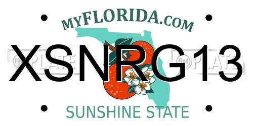XSNRG13 Florida License Plate