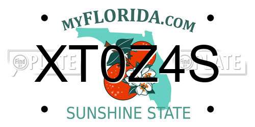 XT0Z4S Florida License Plate