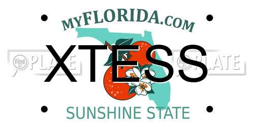 XTESS Florida License Plate