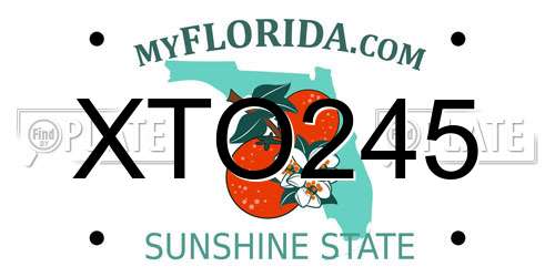 XTO245 Florida License Plate